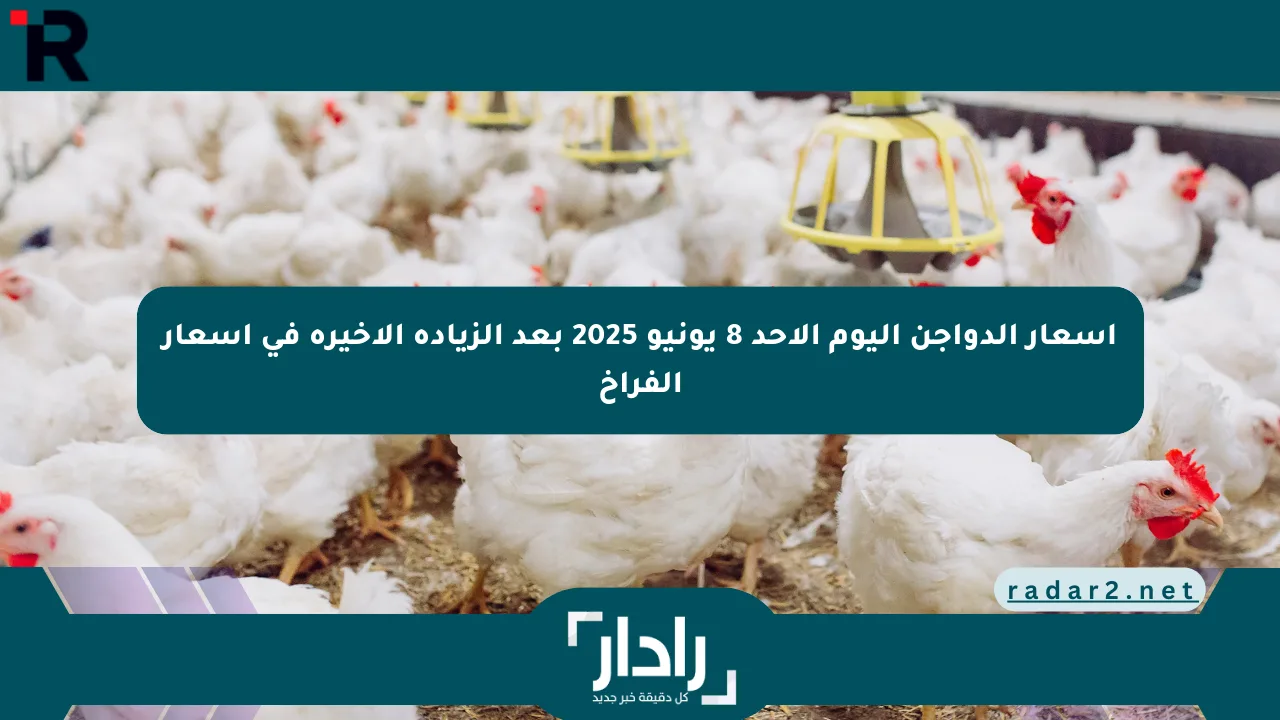 أسعار الدواجن اليوم الأحد 8 يونيو 2025 بعد الزيادة الأخيرة في أسعار الفراخ